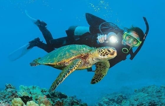 Kemer Scuba Diving and Snorkeling Trip