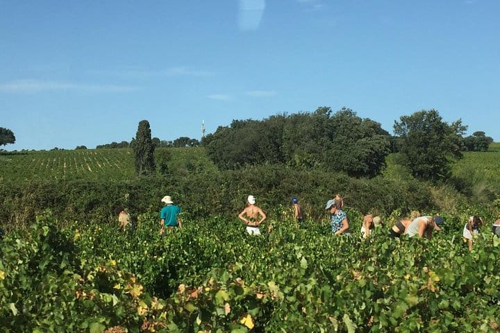 Heritage, wines and gastronomy - 3-day tour 2