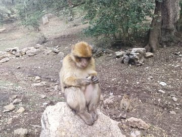 Luxury 2-Day Desert Adventure Tour from Fes to Errachidia