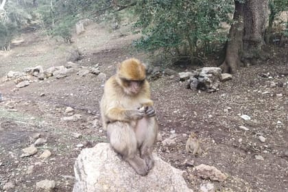 2 Days Luxury Magic Morocco Desert Tour From Fes To Fes