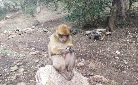 Luxury 2-Day Desert Adventure Tour from Fes to Errachidia