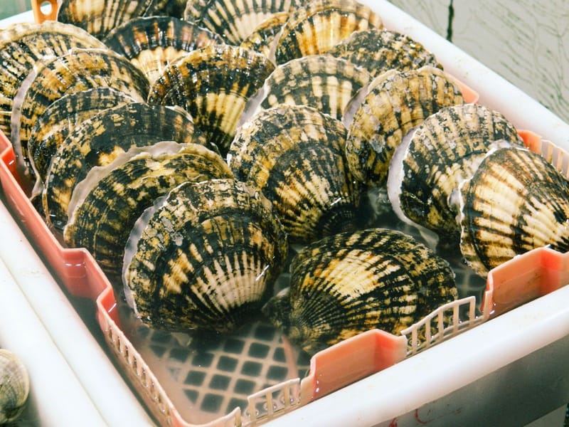 Qingdao Seafood Market and Home-Style Seafood Class with English Guide