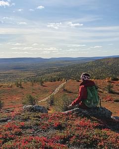 Conquer Kätkätunturi with a Local Guide