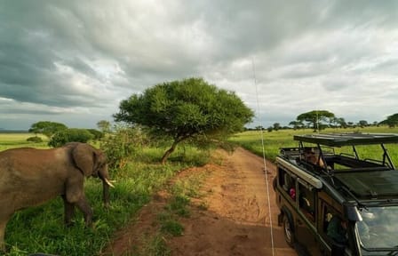 11-Day Safari Adventure in Kenya and Tanzania