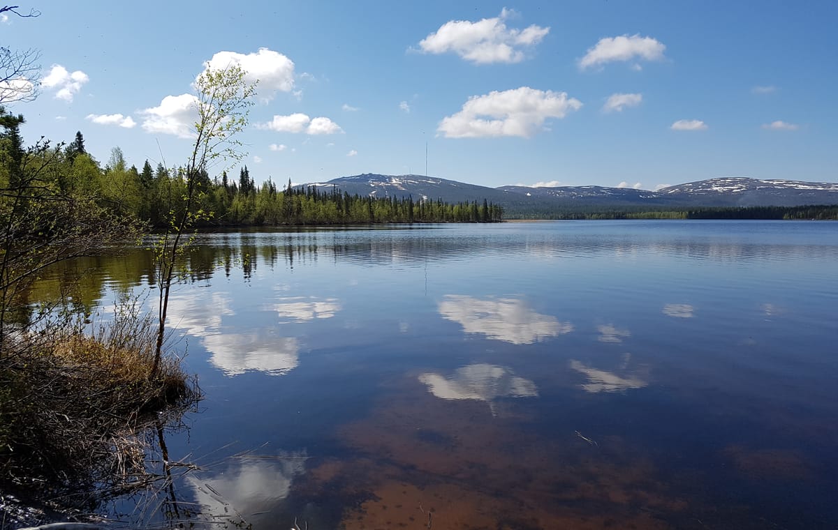 Arctic summer SUP boarding on a lake and river