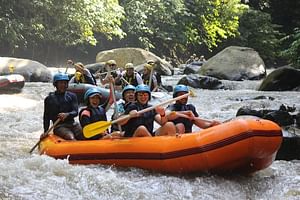 Bali Ayung River Rafting with Lunch and Optional Transfers