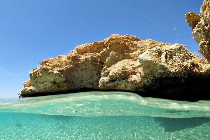 Ras Mohamed National Park Half Day Tour by Bus In Sharm El Sheikh 10