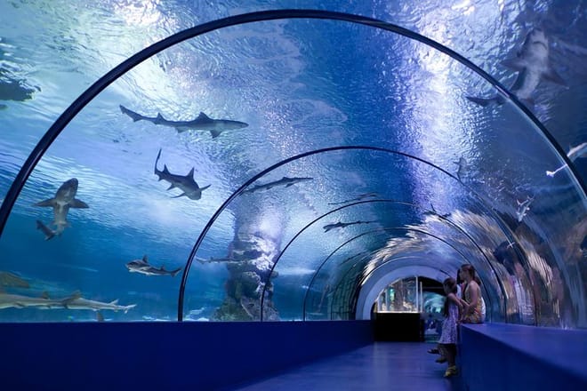 Kemer: Antalya Aquarium Ticket With Optional Transfer 4