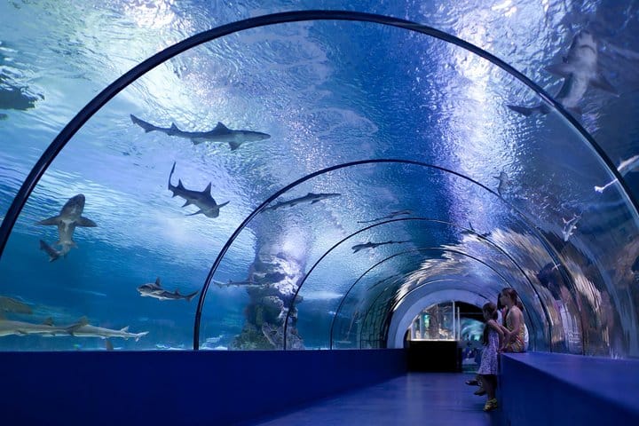 Kemer: Antalya Aquarium Ticket With Optional Transfer 4