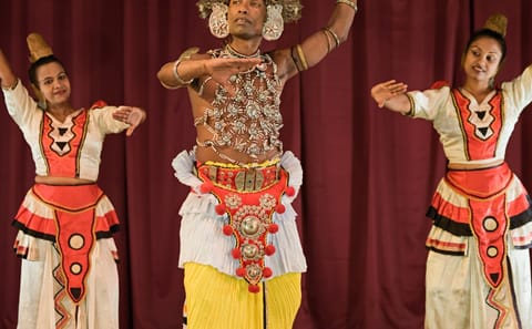 Four-Day Adventure Tour of Colombo and Kandy, Sri Lanka