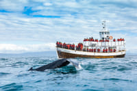 Electric boat Andvari