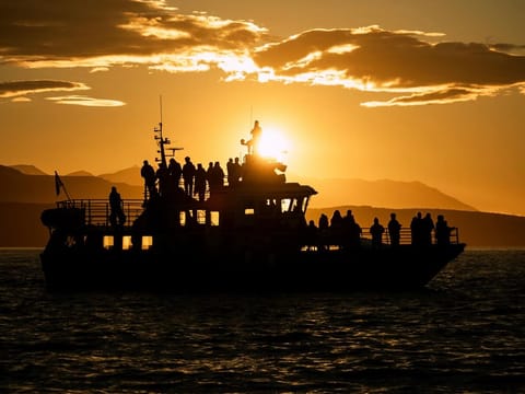 Akureyri Classic Whales in the Midnight Sun