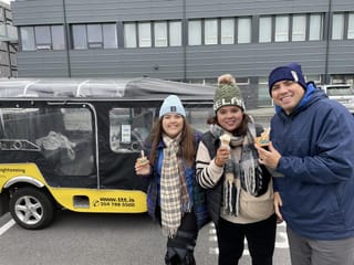 Private Reykjavík Tuk Tuk – City Highlights Tour, photo 13