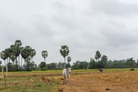 Day Trip from Sihanoukville to Phnom Penh for Cruise Passengers 10