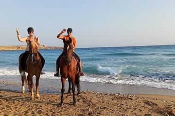 3-Hour Swim with Horses Experience in Hurghada