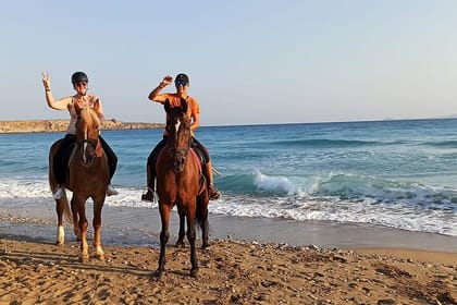 3-Hour Swim with Horses Experience in Hurghada