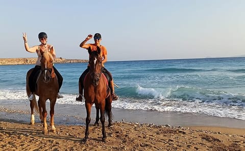 Swim and Ride with Horses in Hurghada, Egypt