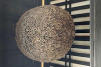Takayama Walking Tour & Hida Folk Village 5