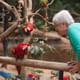 Bird Park