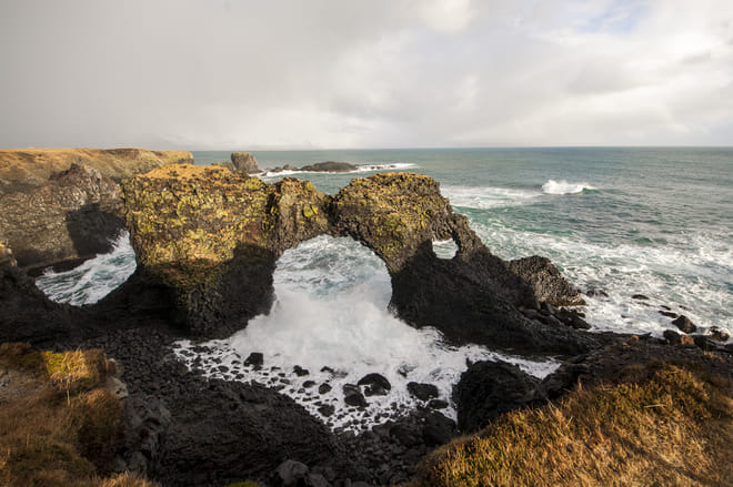 Petrified elephant drinking water at Arnarstapi coast