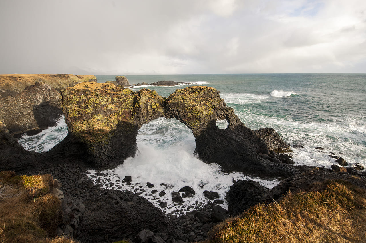Petrified elephant drinking water at Arnarstapi coast