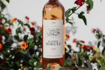 Culinary Tour of Dalmatia with Wine Tasting in Kaštel Novi