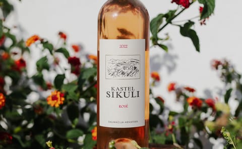 Culinary Tour of Kaštel Novi and Split with Wine Tastings