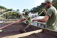 Rural Coffee Farm Tour with Breakfast & Lunch - Roasting & Tasting Experience 5