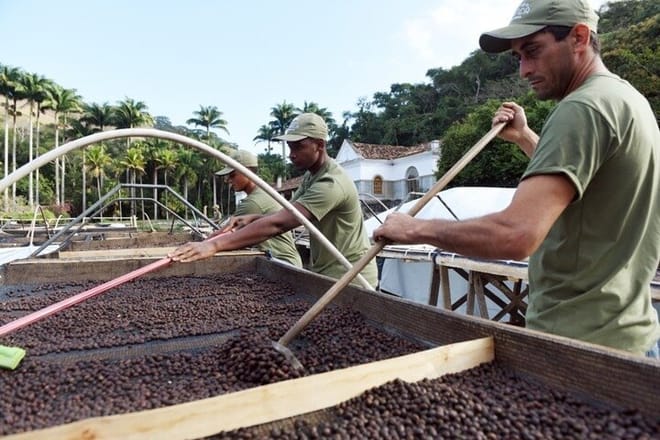 Rural Coffee Farm Tour with Breakfast & Lunch - Roasting & Tasting Experience  photo 5