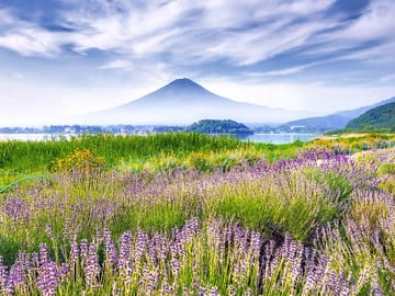 10 Day Japan Private Tour Unveiling Maximum Attractions