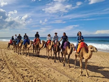 Explore the North From Tangier in 3 Days