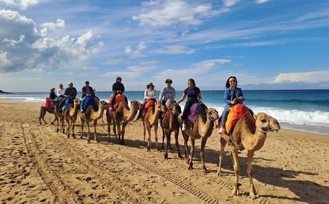 Guided City Tour of Tangier's Main Cultural Highlights