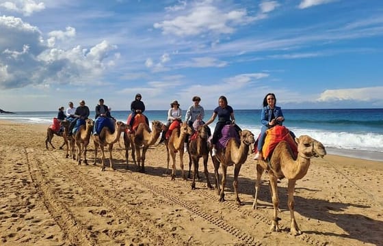 Tangier : Guided City Tour Around Main Points of Interest