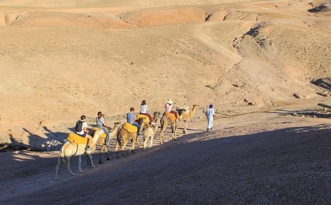 Jeep Safari Adventure in the Atlas Mountains and Agafay Desert