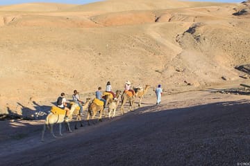 Jeep Safari Adventure in the Atlas Mountains and Agafay Desert
