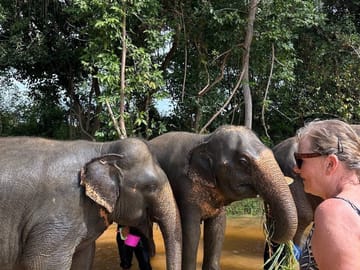Prek Toal Birds Sanctuary & floating Village Private Tours from Siem Reap