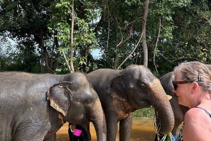 Cambodia Elephants and Phnom Kulen National Park Day Tour