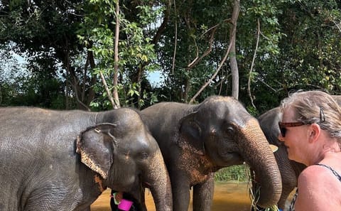 Phnom Kulen National Park and Elephant Experience Tour