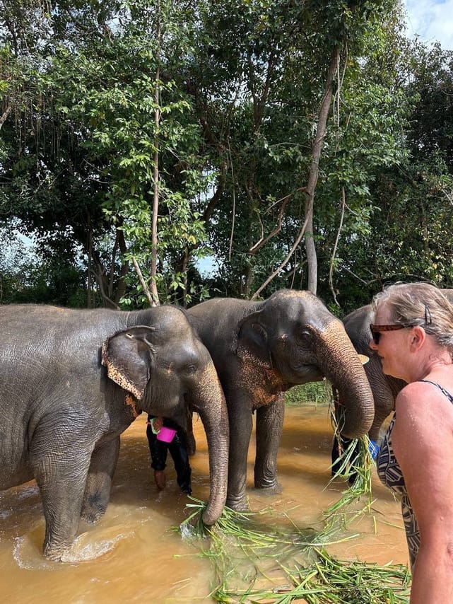 Cambodia Elephants and Phnom Kulen National Park Day Tour 3