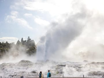 Rotorua: Te Puia Geothermal Park and Maori Cultural Tour
