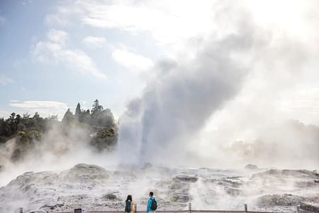 TE-PUIA Geothermal Park, Maori Arts & Crafts, Rotorua –  Budget – Day Tour from Auckland