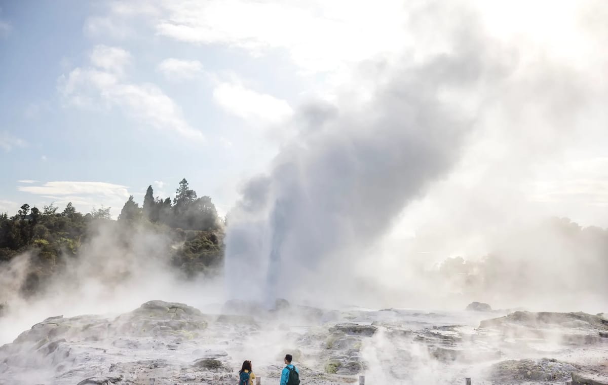 Auckland: TE-PUIA Geothermal Park, Maori Arts & Crafts, Redwoodforest walk and Blue springs