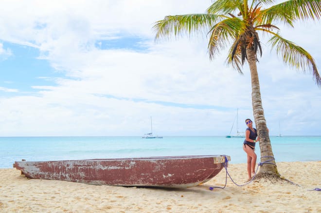 Saona Island VIP - Full Day Excursion! 8