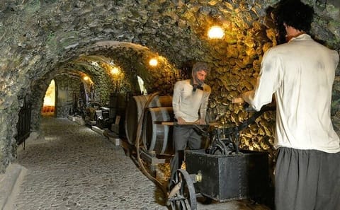Santorini Wine Tasting and Vineyard Tour with Local Guide