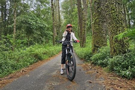 Eco Adventure Bali: Explore Kintamani, Penglipuran & Tirta Empul