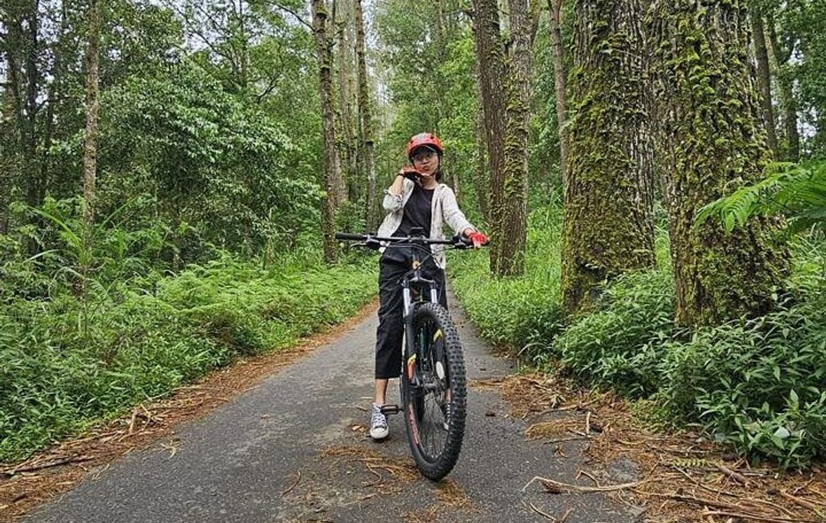 Eco Adventure Bali: Explore Kintamani, Penglipuran & Tirta Empul