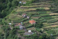 Full Day Tour in Porto Moniz with the Locals 6