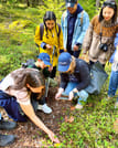 Berry Picking in a National Park 4