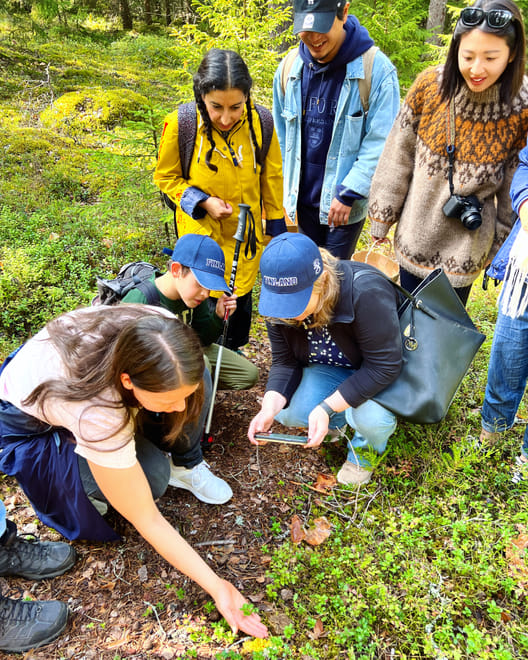Berry Picking in a National Park photo 4