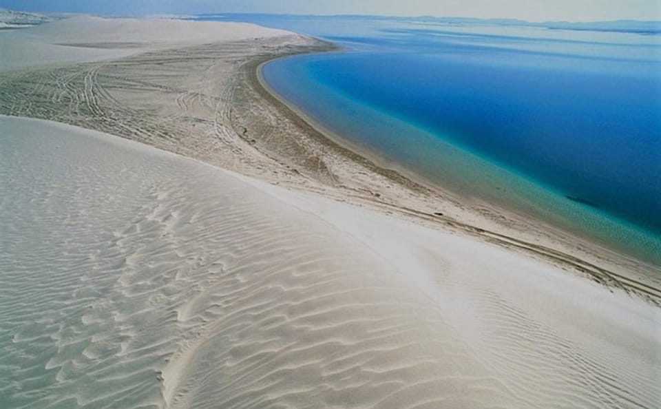 Doha Desert Adventure: Dune Bashing and Camel Riding Tour